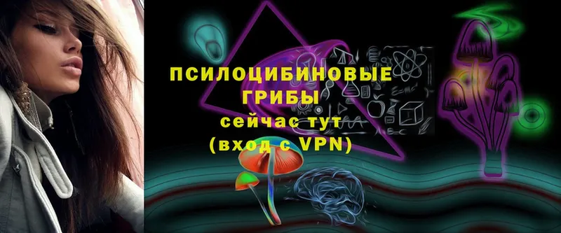 Галлюциногенные грибы MAGIC MUSHROOMS  MEGA маркетплейс  Поронайск 